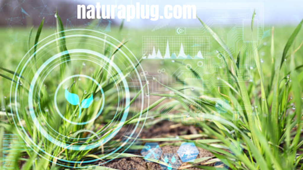 naturaplug.com