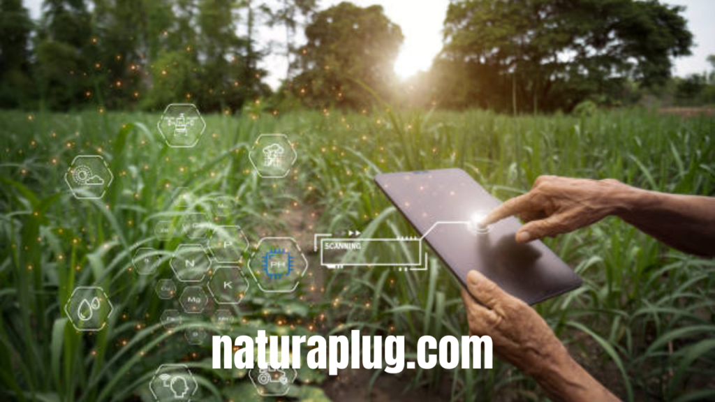 naturaplug.com