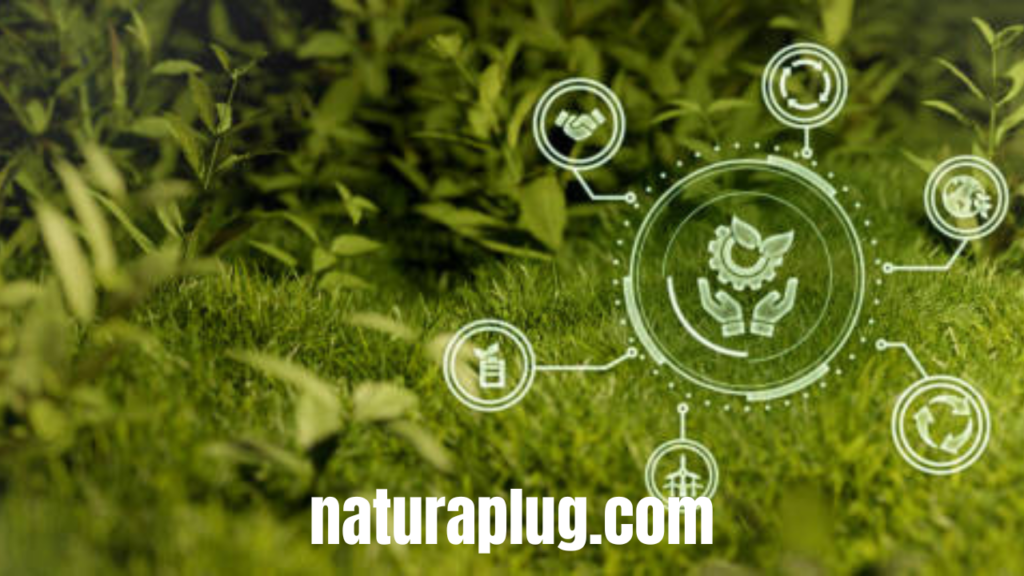 naturaplug.com