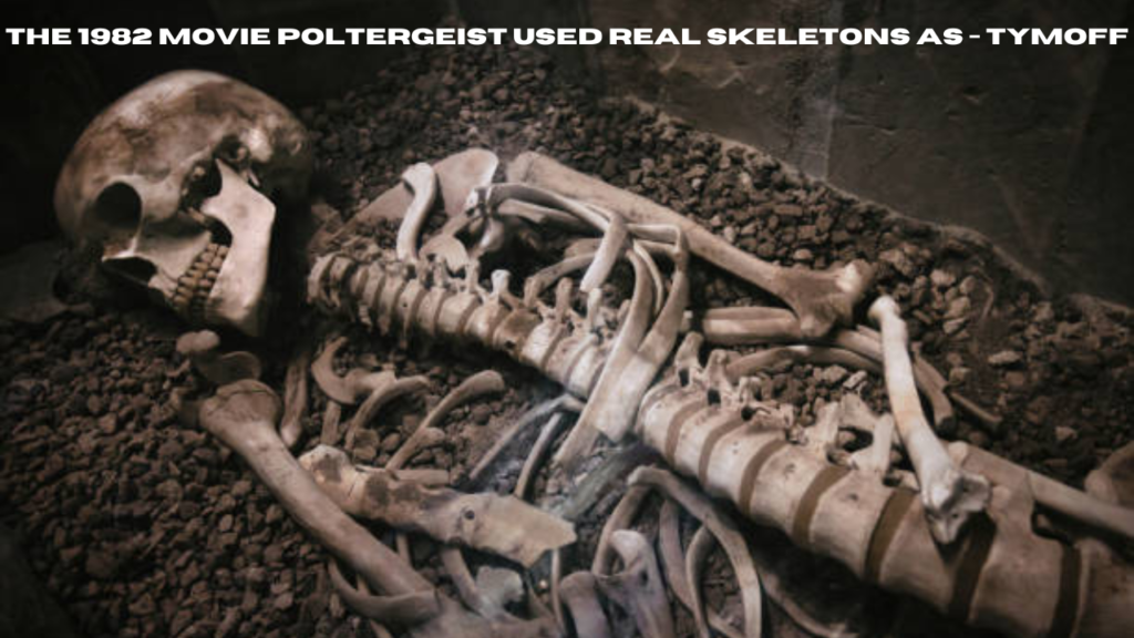 the 1982 movie poltergeist used real skeletons as - tymoff