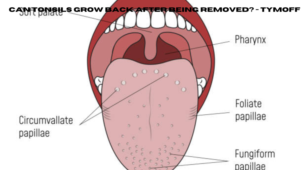 can tonsils grow back after being removed? - tymoff