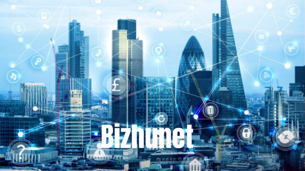 bizhunet