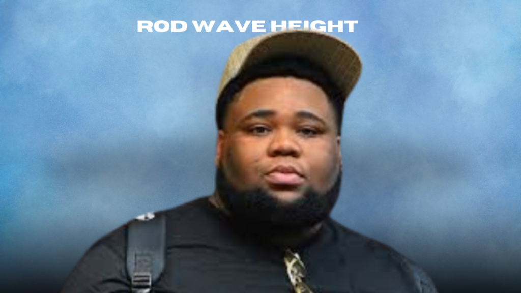 rod wave height