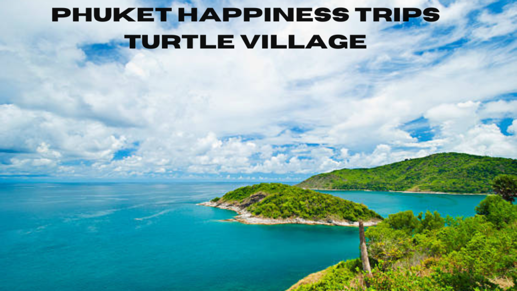 phuket happiness trips turtle village