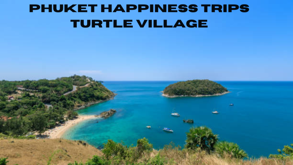 phuket happiness trips turtle village