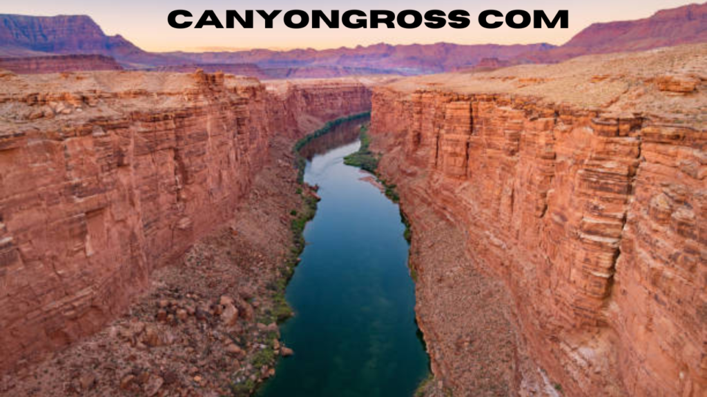 canyongross com