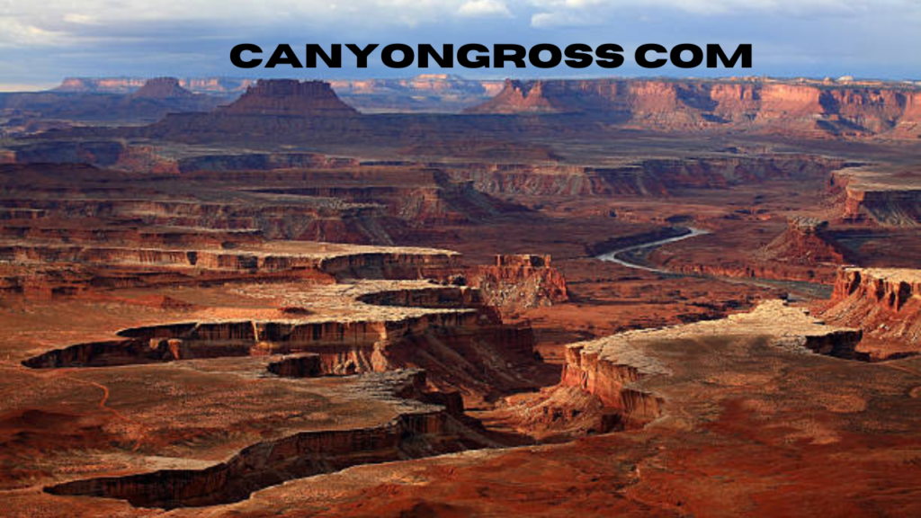 canyongross com